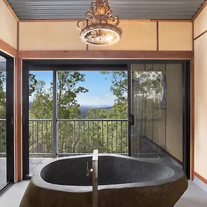 Lodge Gold Coast Tree